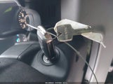 Miniaturka zdjęcia 11
