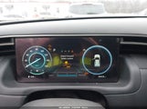 Miniaturka zdjęcia 7