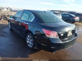 Honda Accord 3.5 Ex-L 1HGCP36808A071780 photo