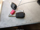 Miniaturka zdjęcia 11