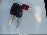 Miniaturka zdjęcia 11