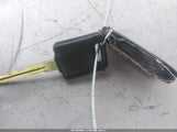 Miniaturka zdjęcia 11