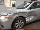 Miniaturka zdjęcia 6