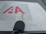 Miniaturka zdjęcia 11