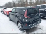 Miniaturka zdjęcia 3