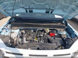 Miniaturka zdjęcia 10