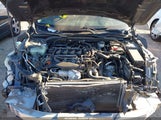 Honda Civic Touring 19XFC1F91HE019219 снимка