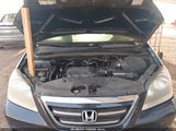 Honda Odyssey Ex 5FNRL38417B101616 снимка