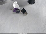 Miniaturka zdjęcia 11