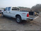Ford F-250 Fx4/Harley-Davidson/King Ranch/Lariat/Xl/Xlt 1FTSW21R78ED09320 fotografie