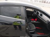 Miniaturka zdjęcia 5