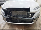 Miniaturka zdjęcia 6