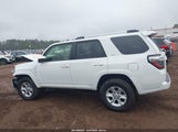 Toyota 4Runner Sr5 JTEMU5JR1R6273261 снимка