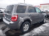 Ford Escape Xlt 1FMCU0DG9CKA66057 fotografie