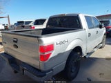 Ford F-150 Xlt 1FTFW1EF6BKD51384 снимка