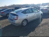 Miniaturka zdjęcia 4