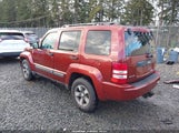 Miniaturka zdjęcia 3