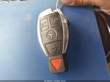Miniaturka zdjęcia 11