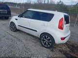 Miniaturka zdjęcia 3