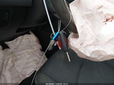 Miniaturka zdjęcia 11
