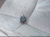 Miniaturka zdjęcia 11