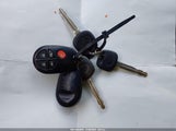 Miniaturka zdjęcia 11