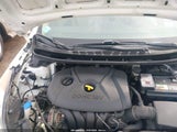 Miniaturka zdjęcia 10