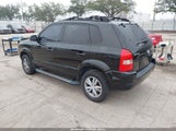 Miniaturka zdjęcia 3
