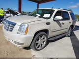 Cadillac Escalade Standard 1GYUKAEF3AR100972 снимка