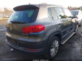 Volkswagen Tiguan R-Line/S/Se/Sel WVGAV3AX1EW547510 fotografie
