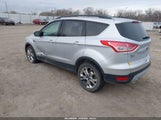 Miniaturka zdjęcia 3