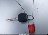 Miniaturka zdjęcia 11