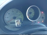 Miniaturka zdjęcia 7