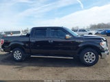 Ford F-150 Xlt 1FTFW1CF4EKF59920 снимка