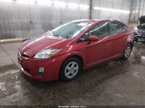 Miniaturka zdjęcia 2