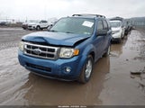 Ford Escape Xlt 1FMCU03G69KA58136 снимка