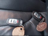 Miniaturka zdjęcia 11