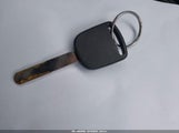 Miniaturka zdjęcia 11