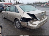 Miniaturka zdjęcia 3