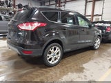 Miniaturka zdjęcia 4
