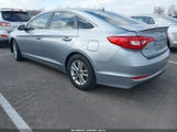 Hyundai Sonata 5NPE24AF5HH556491 снимка
