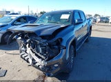 Miniaturka zdjęcia 2