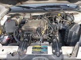Miniaturka zdjęcia 10