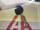Miniaturka zdjęcia 11