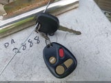 Miniaturka zdjęcia 11