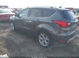 Miniaturka zdjęcia 3