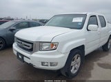 Honda Ridgeline Rtl 5FPYK1F56BB011117 fotografie