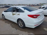 Hyundai Sonata 5NPE24AF5HH595176 снимка