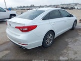 Hyundai Sonata 5NPE24AF5HH595176 снимка