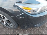 Miniaturka zdjęcia 6